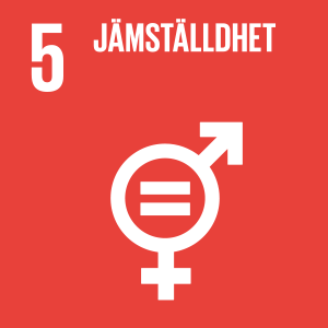 UN Global Goals 5 jämställdhet OEM