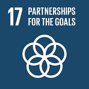 UN Global Goals 17 Partnership for the goals